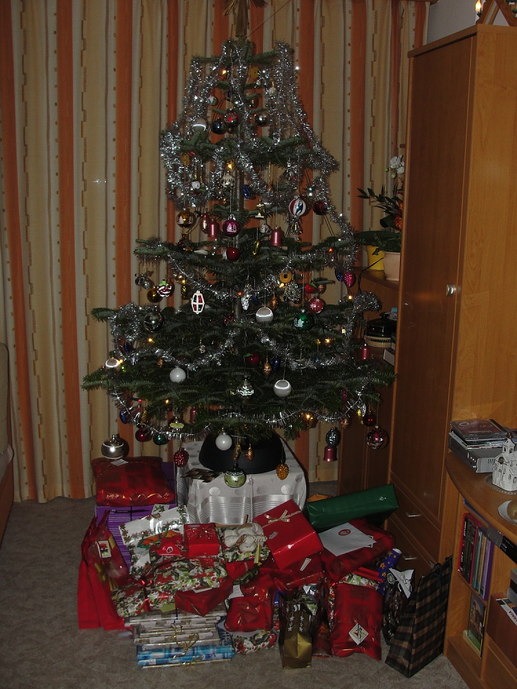 štědrý den a 26.12.10 018