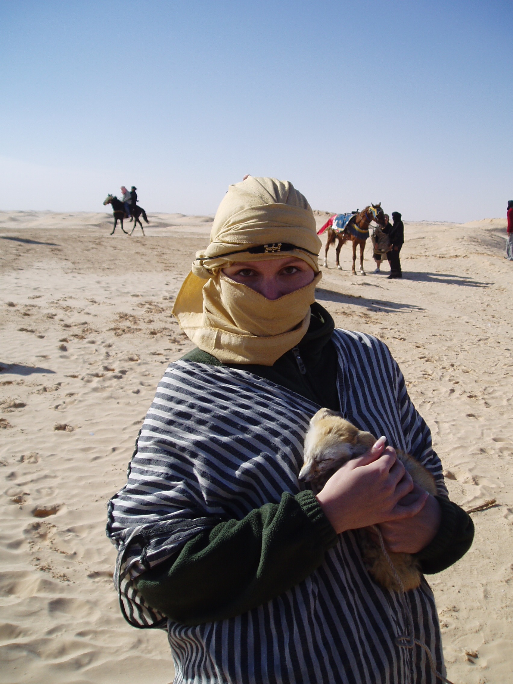 djerba - pochování fenka stálo majlant