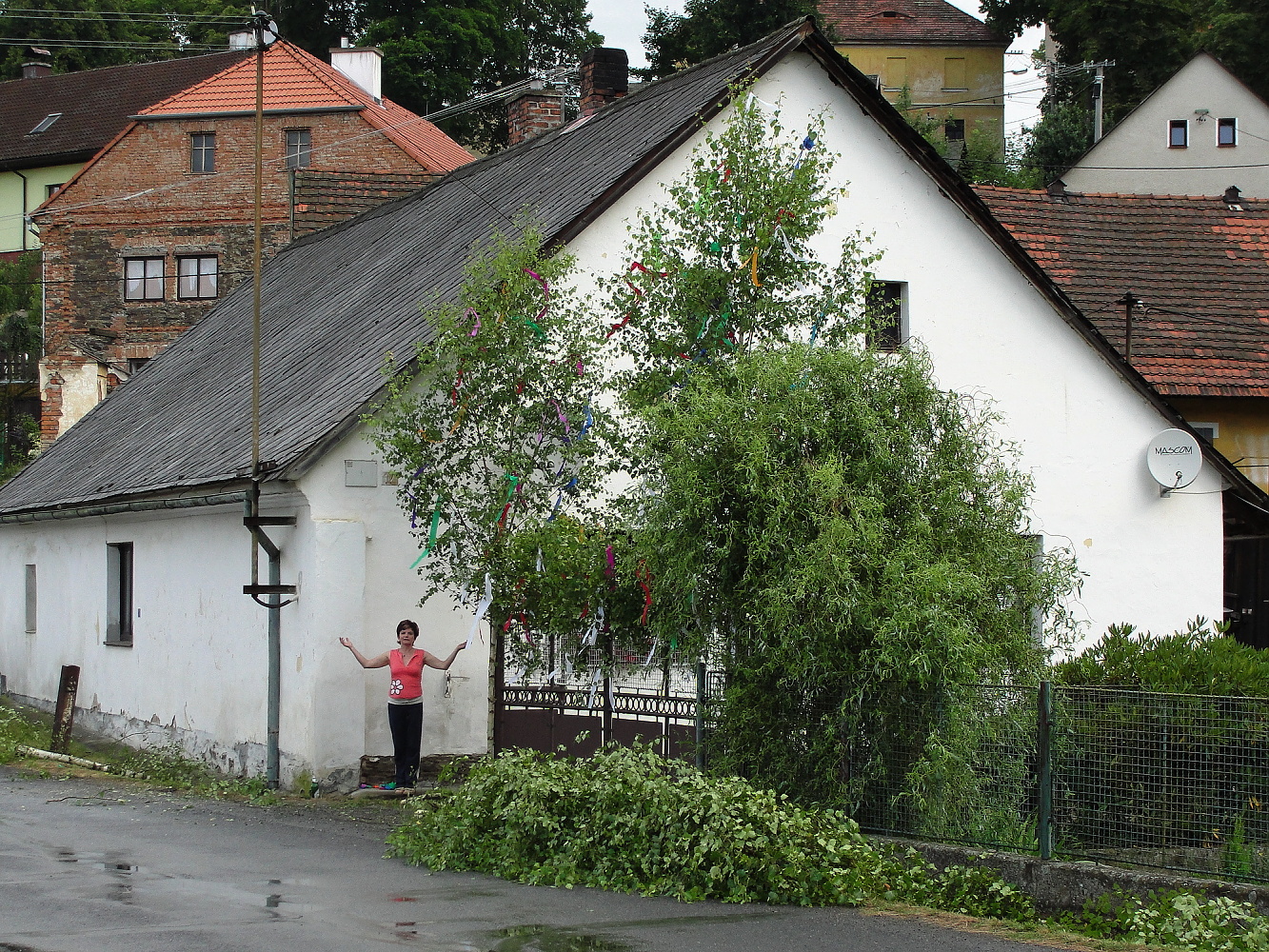 poleň